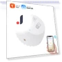 Water Leak Sensor — Water Leak Detection Systems, Tuya