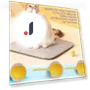 Interactive Pet Toy Ball — Interactive Animal Companions, Pansyf