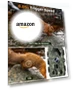 Thumbnail Trail Camera — Outdoor & Wildlife Cameras, EBXDW