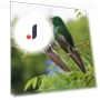 Feather Bird Simulation Garden Decoration — Garden Stakes, Cozy Cottage-Relax