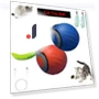 Interactive Cat Toy Ball — Cat Playthings, YIDELLI
