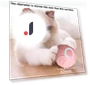 Interactive Smart Cat Toy Ball — Cat Playthings, YIDELLI