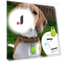 Portable Pet Bluetooth GPS Tracker — Item Locators, shengtukeji
