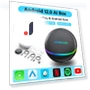 Wireless Carplay AI Box — Navigation & GPS Accessories, Auto Accessories Home