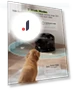 Wireless Dog Water Fountain — Fountains, AE Selection