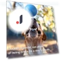 Interactive Rolling Ball Toy for Dogs — Automatic Launchers, The Secret Life of Pet
