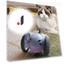 Interactive Smart Toy for Cats — Cat Playthings, Honwei