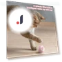 Smart Pet Toys — Balls, Two Shy Girl