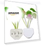 Thumbnail Sensor LED Night Light Plug-in Wall Lamp — Night Lights, AUSAYE