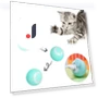 Automatic Rolling Cat Toy — Cat Playthings, Pawstrip