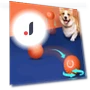 Automatic Moving Jumping Ball for Pets — Interactive Animal Companions, Yiran Furniture