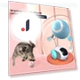 Interactive Cat Ball — Balls, xly1818