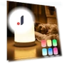 LED Night Light with Wireless Charging — Night Lights, Elegant Living House