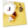 Smart Running Mouse Toy for Cats — Cat Playthings, Happy Home Mall