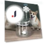 Automatic Water Fountain for Cats — Pet Hydration Solutions, Wrigleys