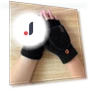Electric Heated Gloves — Gloves & Mittens, Optimized General