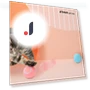 Interactive Pet Toy Ball — Cat Playthings, Luminaire Lighting Mall