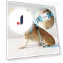 Waterproof GPS Pet Tracker — Trackers, Home Furnishing Department Mall