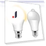 LED Motion Sensor Light Bulb — LED, Rainbow Rain