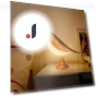 LED Touch Light in Bird Shape — Lighting Accessories, One Faith