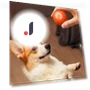 Automatic Moving Jumping Rolling Smart Ball Toy — Balls, Home Furnishing Department Mall