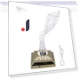 Crystal Eagle Table Lamp — Creative Lighting Solutions, ZuiyouJewelry1