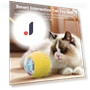 Interactive Rolling Ball Toy for Cats — Cat Playthings, Pet park