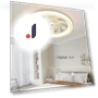 Smart Ceiling Fan with Light — Ceiling Fans, Build My Home