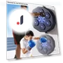 Smart Music Boxing Trainer — Boxing Training Gear, Happy Home Mall