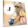 Smart Rolling Ball for Dogs — Balls, Homedepot