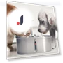 Double Pet Water Dispenser — Feeding Supplies, Build My Home