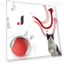 Interactive Cat Toy — Cat Playthings, Build My Home