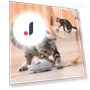 Interactive Smart Mouse Toy for Cats — Cat Playthings, Build My Home