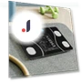 Smart Bathroom Scale — Weight Management Tools, Build My Home