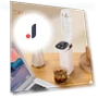 Portable Instant Water Heater Dispenser — Beverage Warmers, Daydreamer