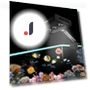 Aquarium Light Spectra Nano 029 — Lights, Wrigleys