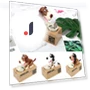 Electronic Piggy Bank — Savings & Piggy Banks, JOHO - CarGear