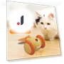 Interactive Cat Toy — Cat Playthings, Love Pet House