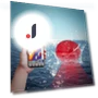 Smart Depth Fish Finder — Fishfinders, Seahorse Home