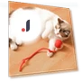 Interactive Cat Toy Ball — Cat Playthings, Shanylty