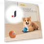 LED Pet Rolling Ball — Balls, Health Care For U