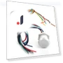 Mini RFID Controller — Biometric Security, Neoglint