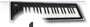 Wireless MIDI Keyboard with Bluetooth Controller — Keyboards, KORG