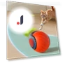 Interactive Cat Toy Ball — Cat Playthings, JINGYUE Pet