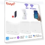 Mini WiFi+RF433 Light Switch — Smart Home Modules, Modern Home Furnishing