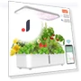 Hydroponics Growing System with LED Grow Light — Germination Kits, HAOAXIN