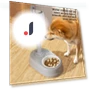 Automatic Hanging Water Dispenser for Pets — Feeding Supplies, Smart Pet Supplies