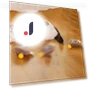 Interactive Cat Toy — Cat Playthings, Family Circle
