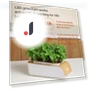 Hydroponic Growing System — Germination Kits, RUI RUI YU 6