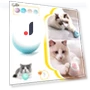 Interactive Rolling Toy for Cats — Cat Playthings, YJMP Top